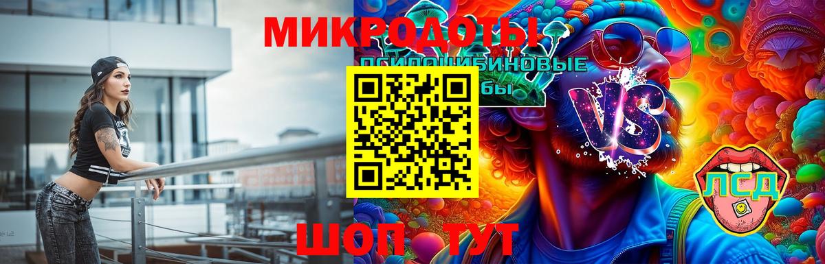 Кандалакша  Псилоцибиновые грибы Psilocybe  даркнет сайт  Вход с VPN 